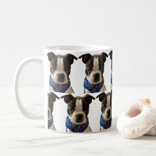 Boston Terrier mugg