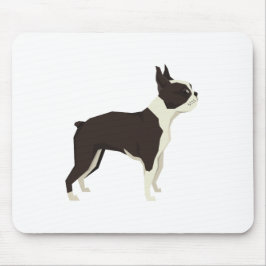 Boston Terrier Musmatta