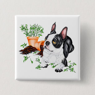 Boston Terrier Naughty Valp Button Knapp