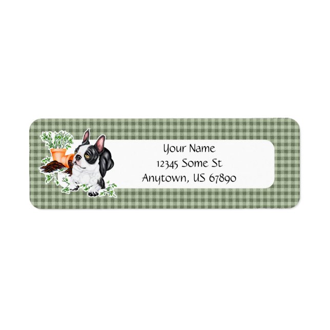 Boston Terrier Naughty Valp Labels Returadress Etikett (Framsidan)