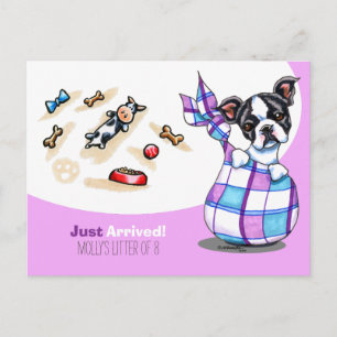 Boston Terrier New Puppy Social Vykort