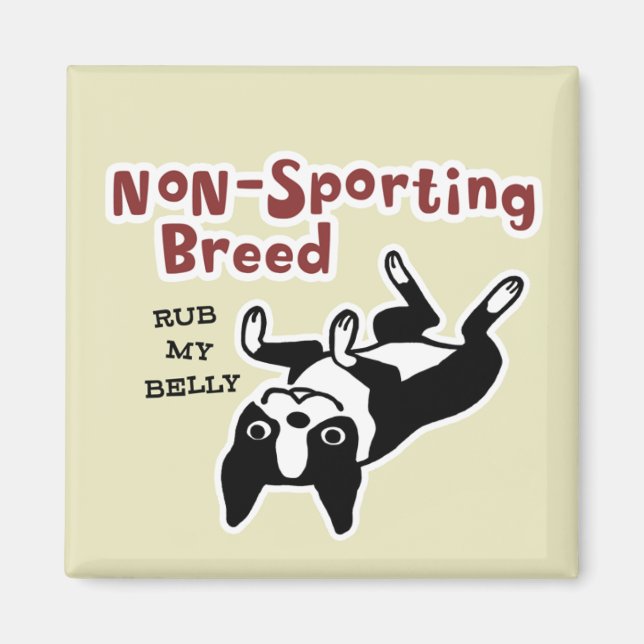 Boston Terrier ’Non-Sport Breed’ Magnet (Framsidan)