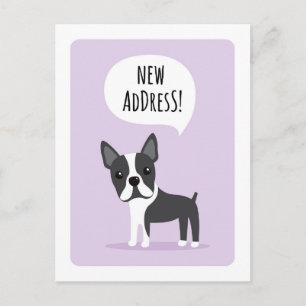 Boston terrier ny adress flyttenhetskort meddelande vykort