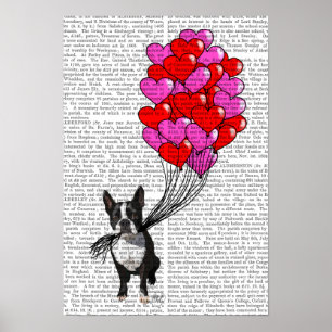 Boston Terrier och ballonger Poster