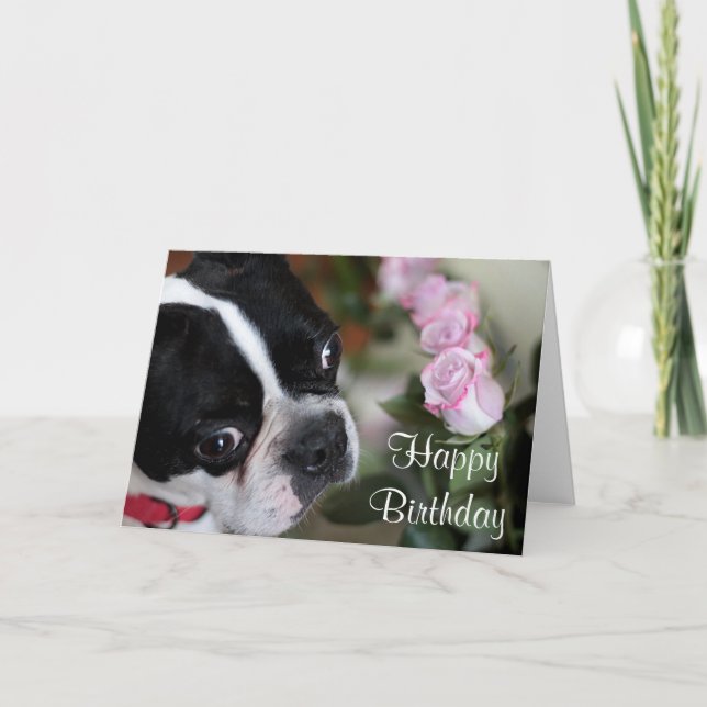 Boston terrier och blommor kort (Framsida)