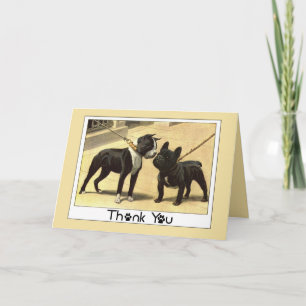 Boston Terrier och Fransk Bulldog Tack Kort