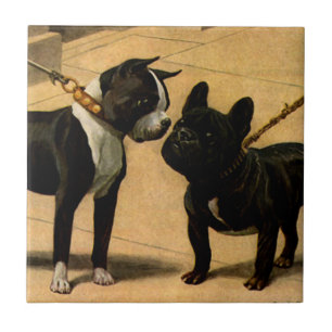 Boston Terrier och franskbulldogg Kakelplatta