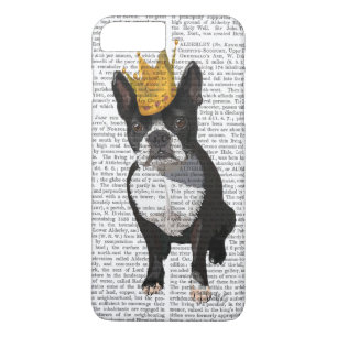 Boston Terrier och Krona
