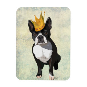 Boston Terrier och Krona Magnet