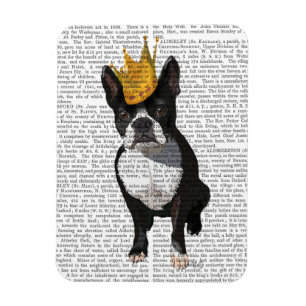 Boston Terrier och Krona Magnet