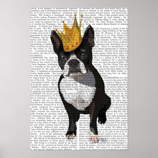 Boston Terrier och Krona Poster (Framsidan)