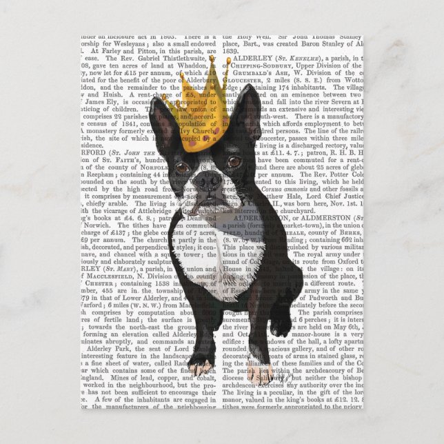 Boston Terrier och Krona Vykort (Framsida)