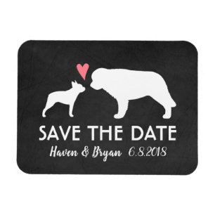 Boston Terrier och Saint Bernard Spara datumet Magnet