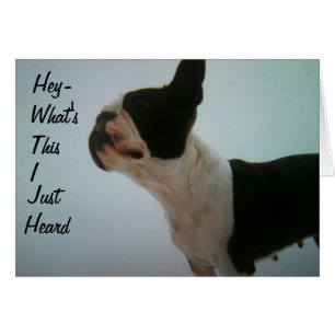 BOSTON TERRIER ÖVERPRISERAS HÄLSNINGSKORT