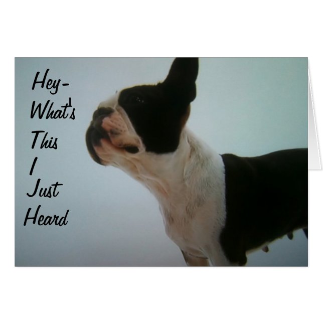 BOSTON TERRIER ÖVERPRISERAS HÄLSNINGSKORT (Framsidan Horizontal)