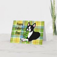 Boston Terrier pappa 1 Play