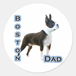 Boston Terrier Pappa 4 - Sticker Runt Klistermärke