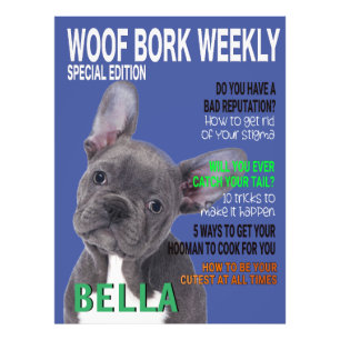 Boston Terrier Parody Magazine Cover Fototryck