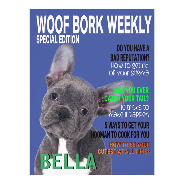 Boston Terrier Parody Magazine Cover Fototryck (Framsidan)