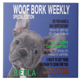 Boston Terrier Parody Magazine Cover Kakelplatta