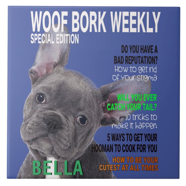 Boston Terrier Parody Magazine Cover Kakelplatta (Framsidan)