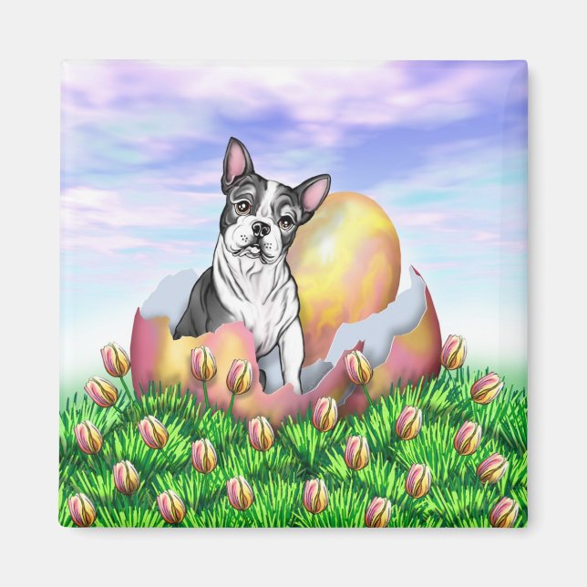 Boston Terrier Påsk Surprise Magnet (Framsidan)