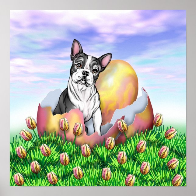 Boston Terrier Påsk Surprise Poster (Framsidan)