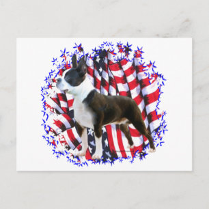 Boston Terrier Patriot Vykort