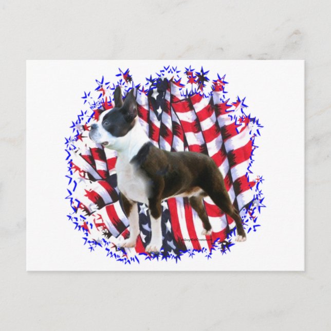 Boston Terrier Patriot Vykort (Framsida)