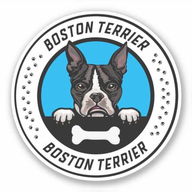 Boston Terrier Peeking Illustration Badge Klistermärken (Framsida)