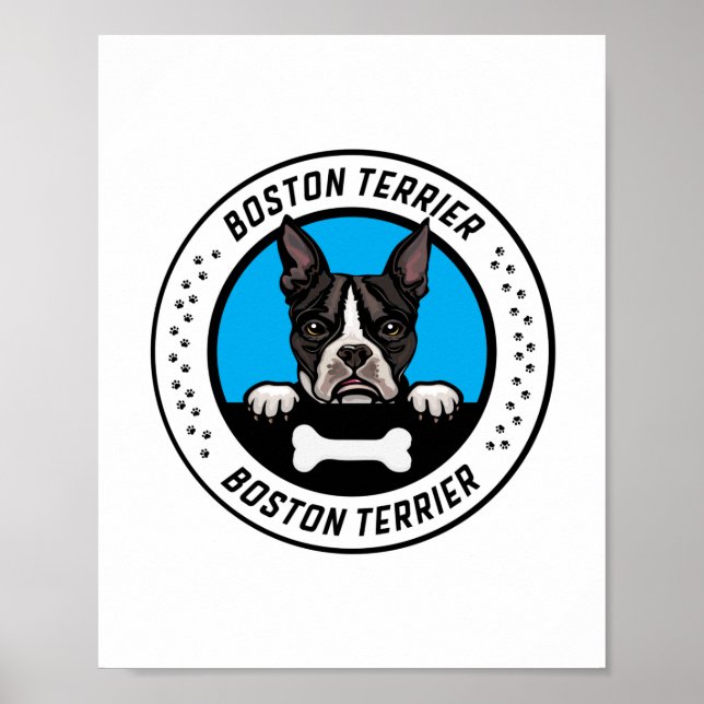 Boston Terrier Peeking Illustration Badge Poster (Framsidan)