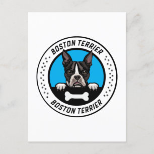 Boston Terrier Peeking Illustration Badge Vykort