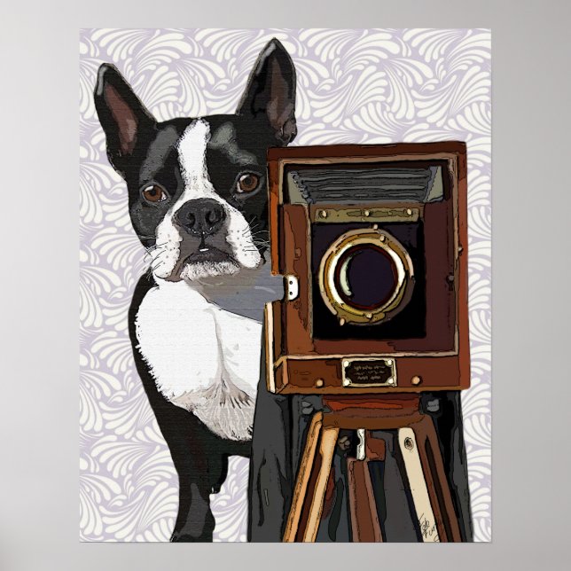 Boston Terrier Photographer Poster (Framsidan)