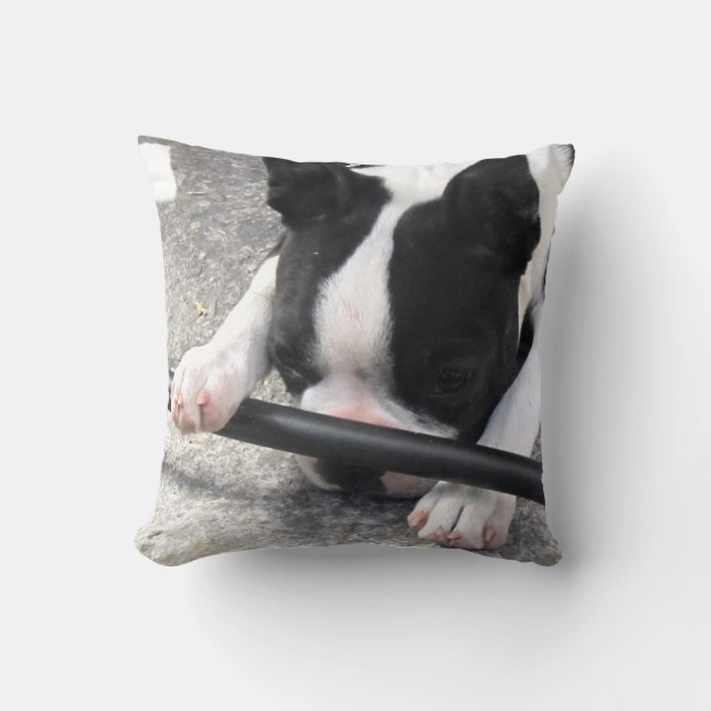Boston Terrier Pillow Kudde (Framsida)