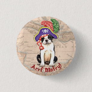 Boston Terrier Pirat Knapp