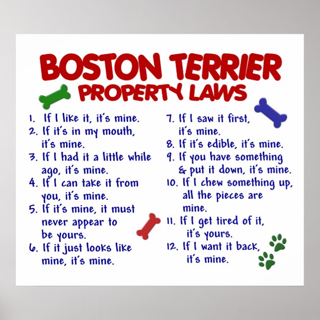 BOSTON TERRIER PL2 POSTER (Framsidan)