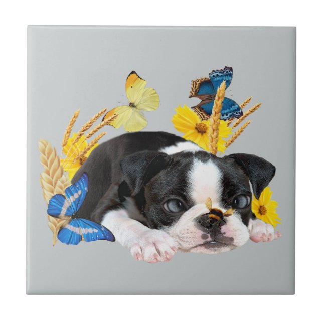 Boston Terrier Play Day Kakelplatta (Framsidan)