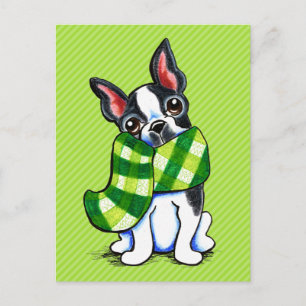 Boston Terrier Play Scarf Winter Vykort