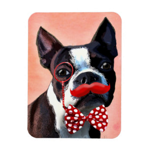 Boston Terrier Porträtt med Red Bow Tie och 3 Magnet