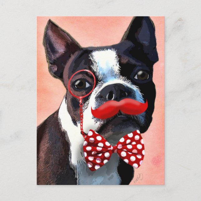 Boston Terrier Porträtt med Red Bow Tie och 3 Vykort (Framsida)