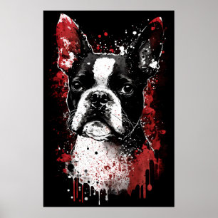 Boston Terrier Porträtt Poster