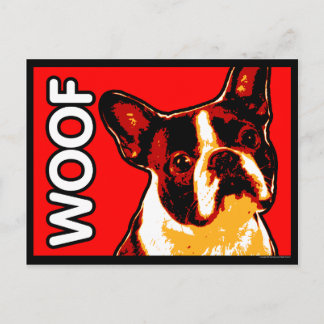 Boston Terrier Postcard Vykort
