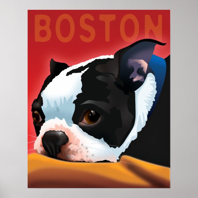 Boston Terrier Poster (Framsidan)
