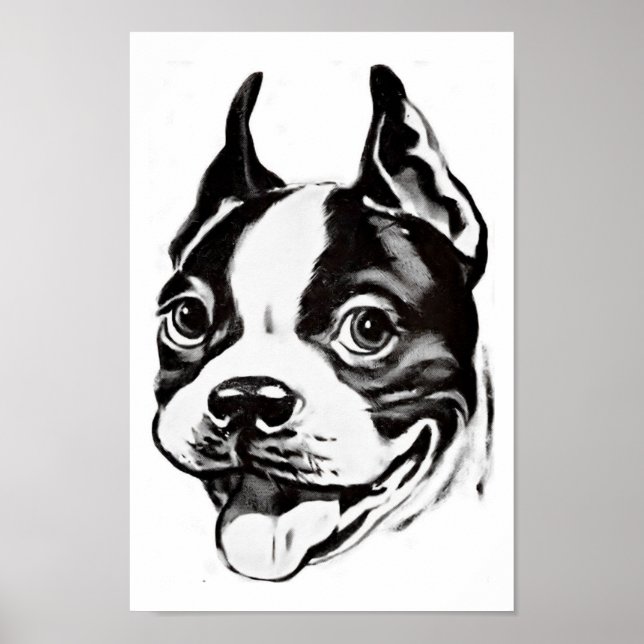 Boston Terrier Poster (Framsidan)