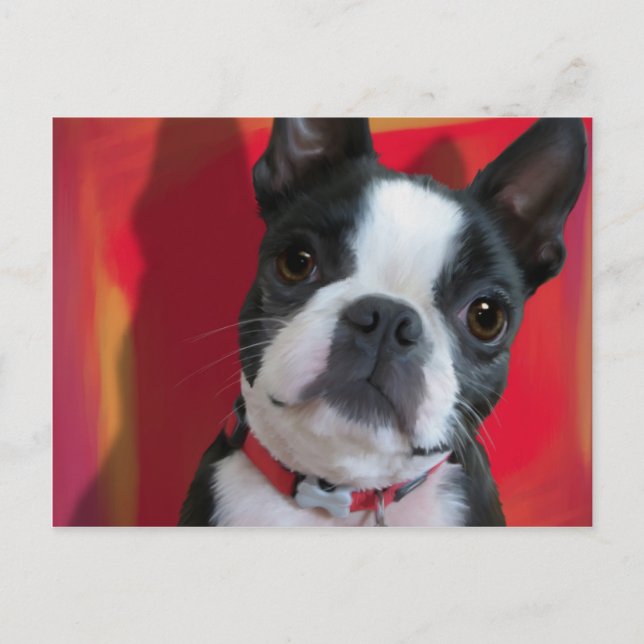 Boston Terrier-postkort Vykort (Framsida)