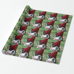Boston terrier presentpapper