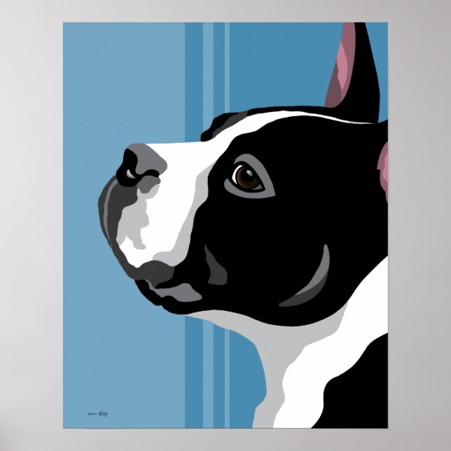 Boston Terrier Prints Poster (Framsidan)