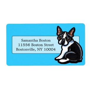Boston Terrier Profile Studio Blue Fraktsedel