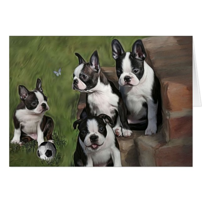 Boston Terrier Puppies Hälsningskort (Framsidan Horizontal)