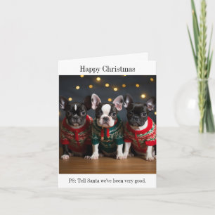 Boston Terrier Puppies-julkort Kort